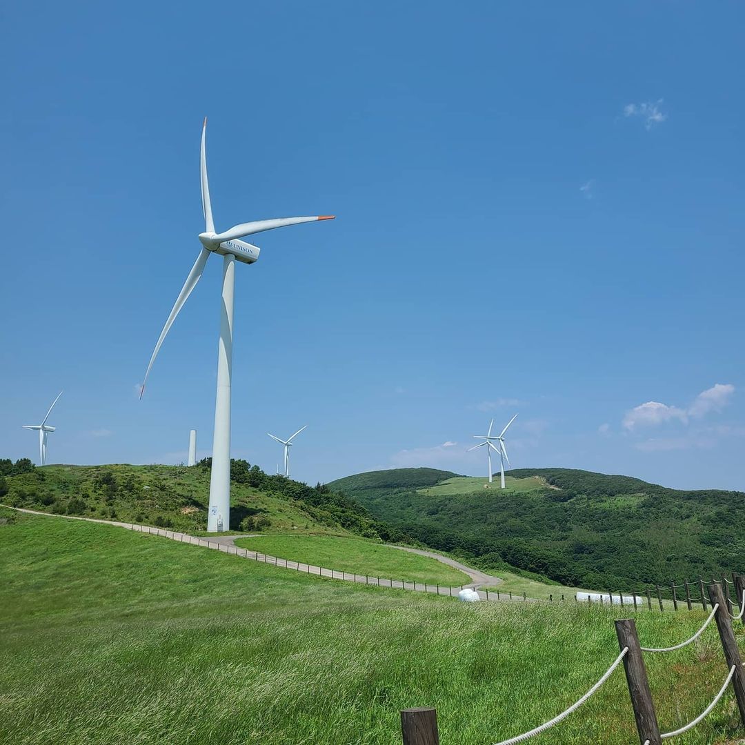 대관령바람마을의야지(Pyeongchang Uiyaji Wind Village)