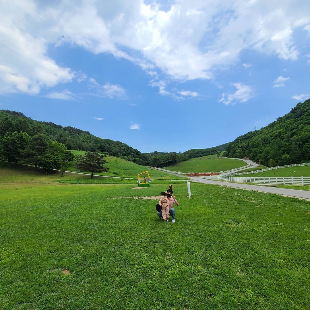대관령바람마을의야지