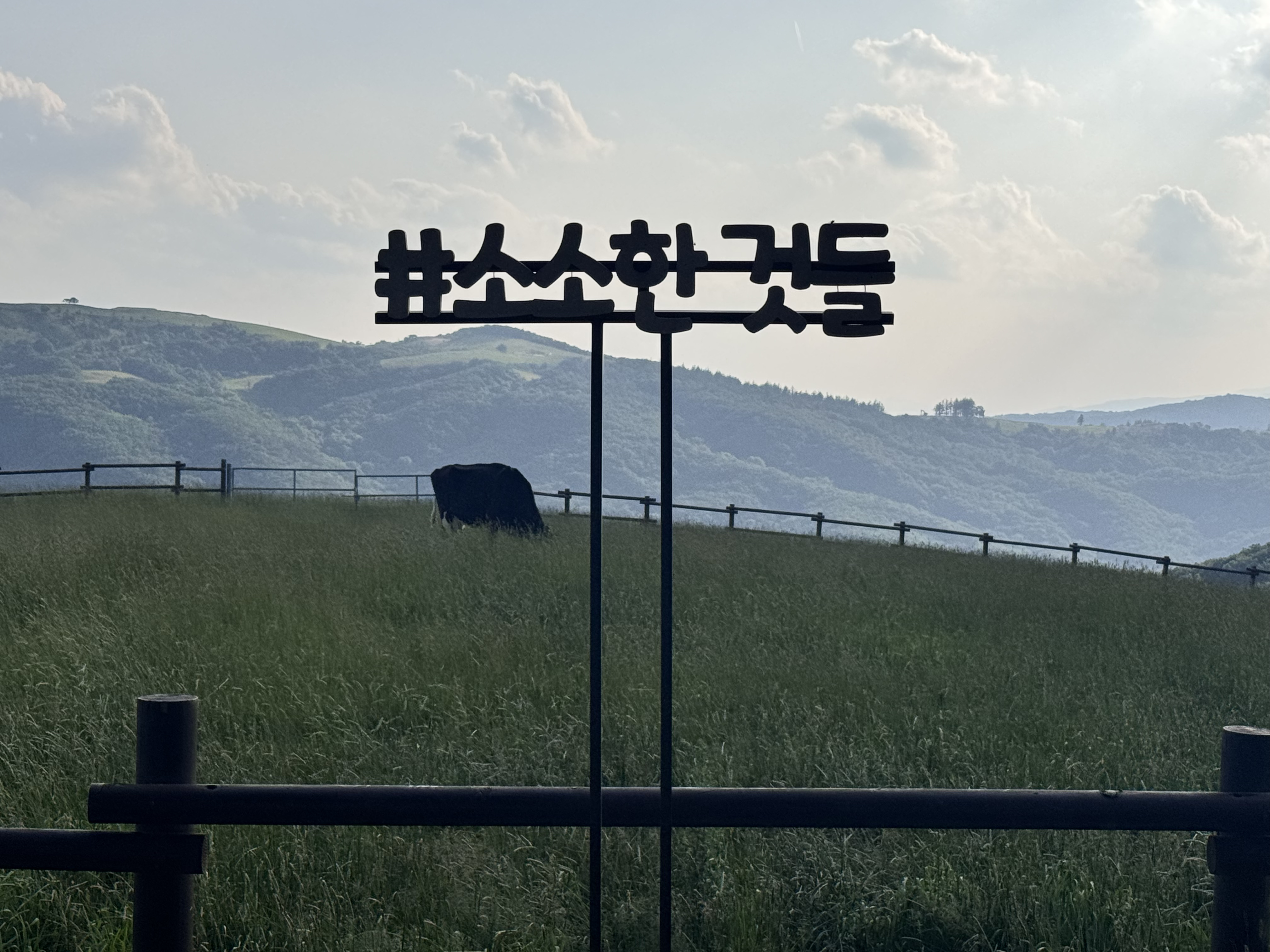 대관령 삼양라운드힐 (구 삼양목장)(Samyang Rounghill)