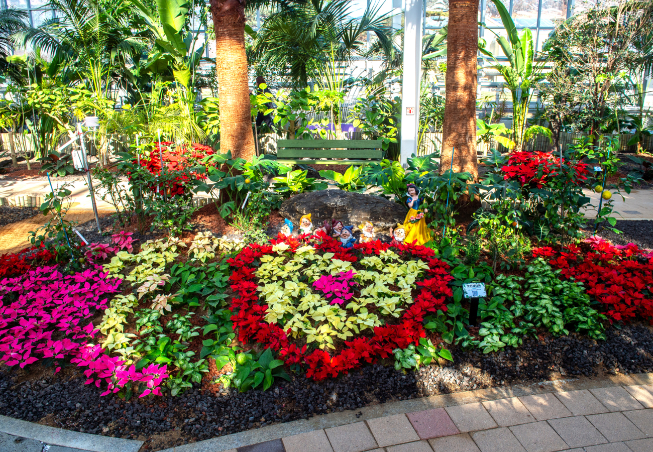 아열대스마트온실's picture