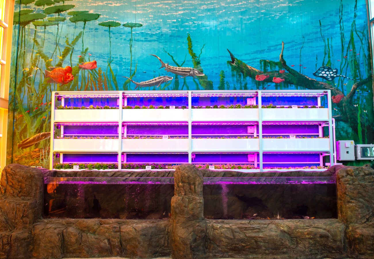 아열대스마트온실's picture