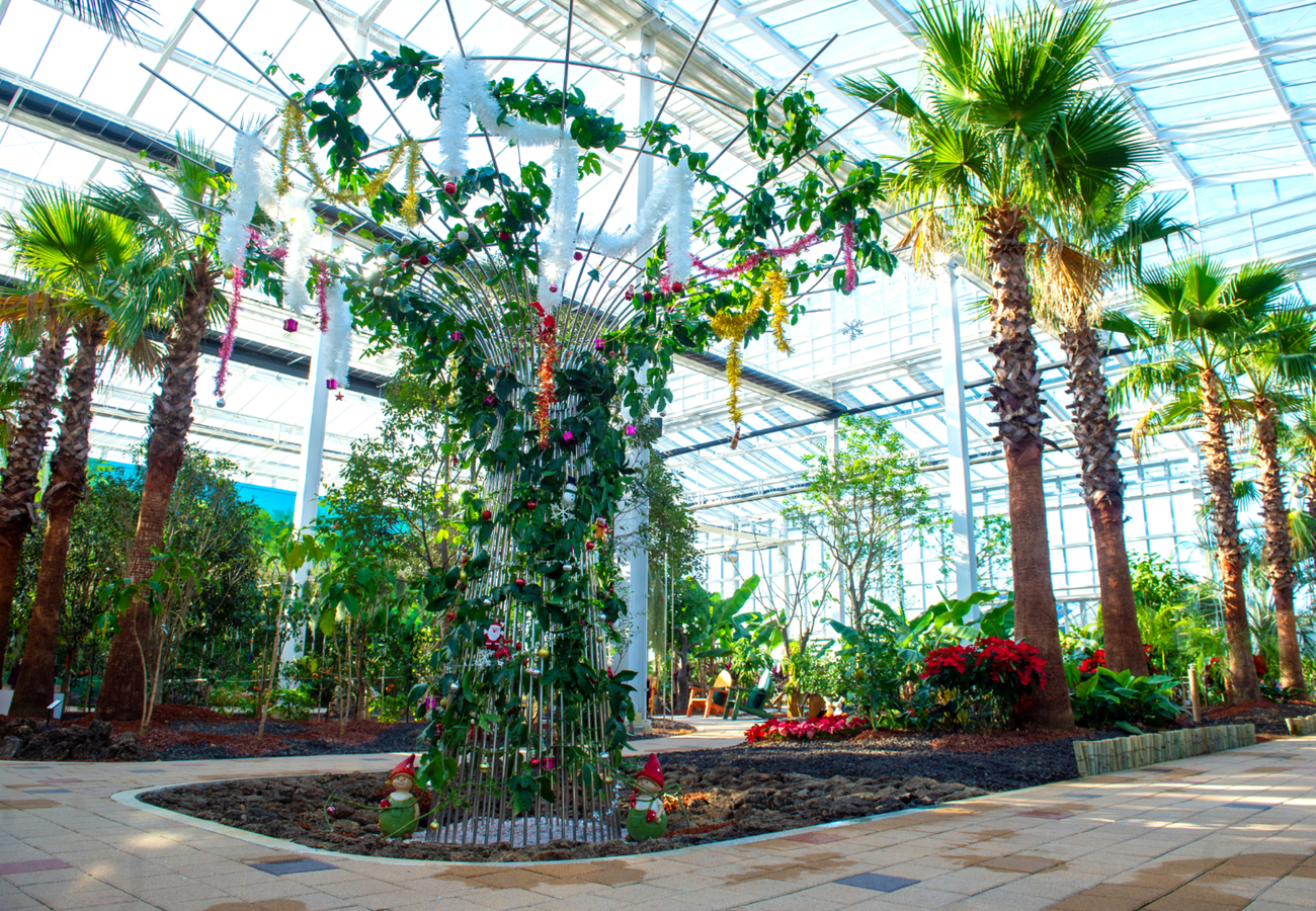 아열대스마트온실's picture