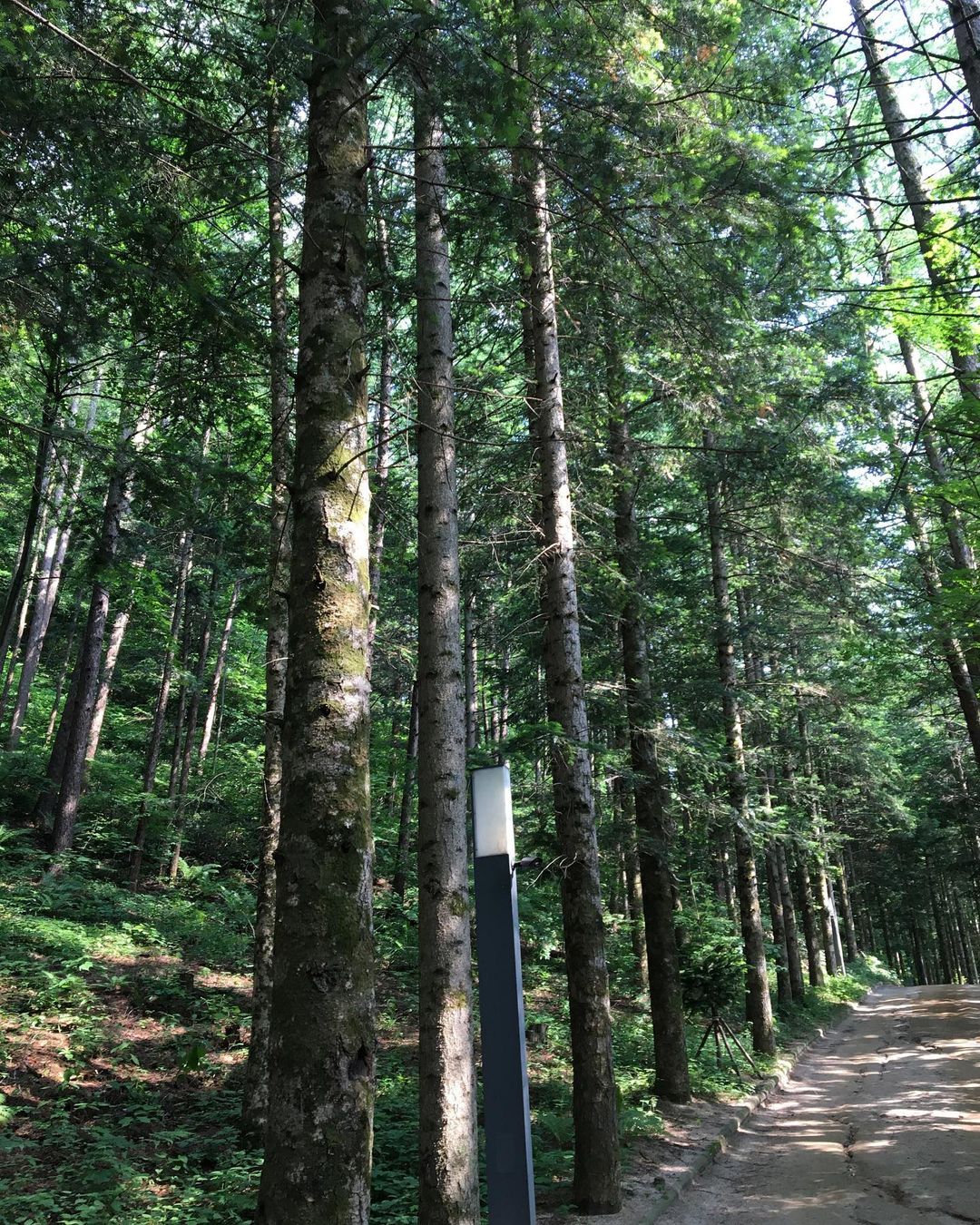 밀브릿지(Millbridge)'s picture