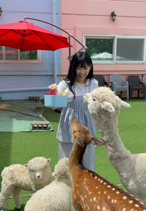 해피애니멀(Happy Animal)'s picture