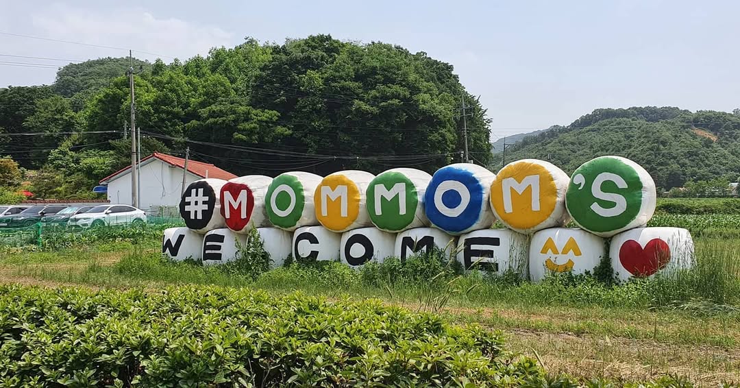 맘맘스(MamMams)