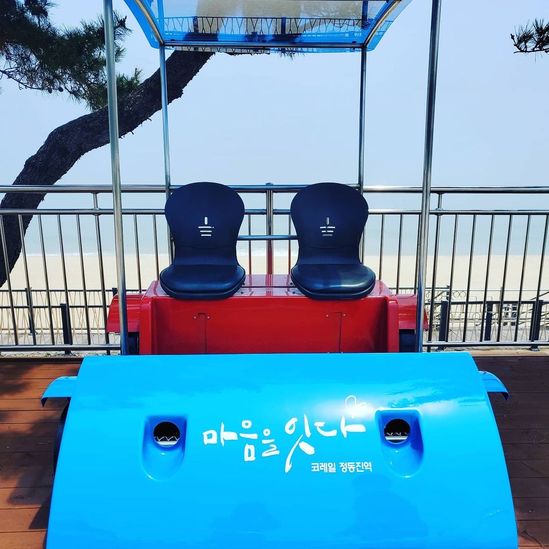 정동진레일바이크's picture