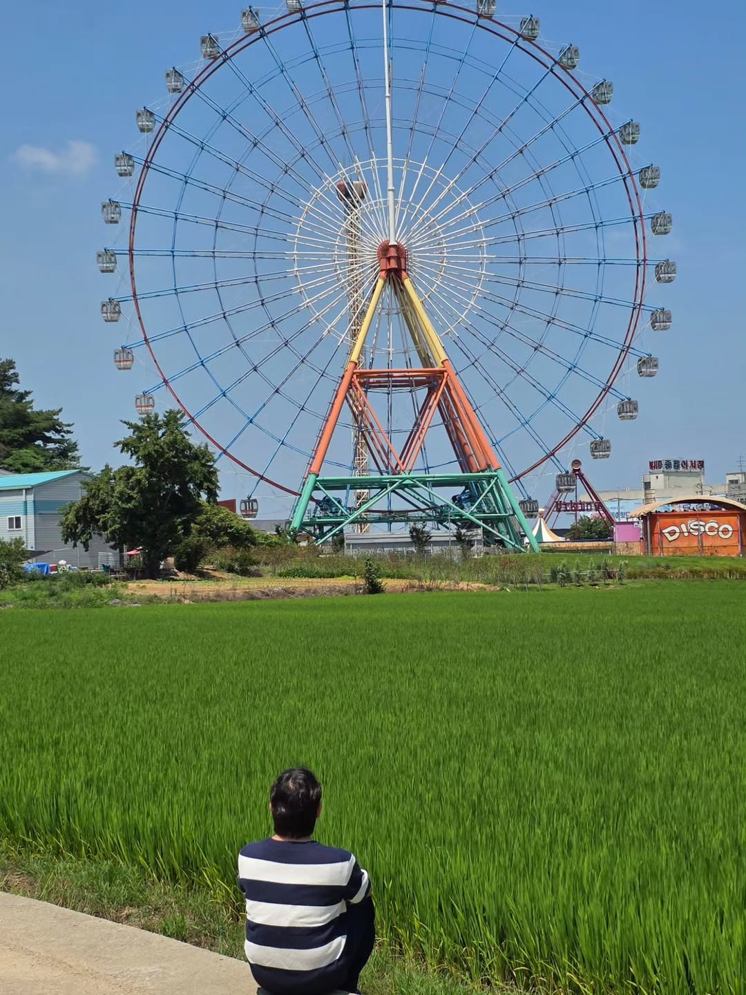 삽교호놀이동산(Sapgyoho Amusement Park)'s picture