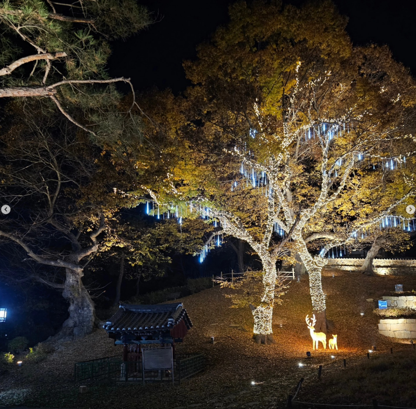 괴강불빛공원
