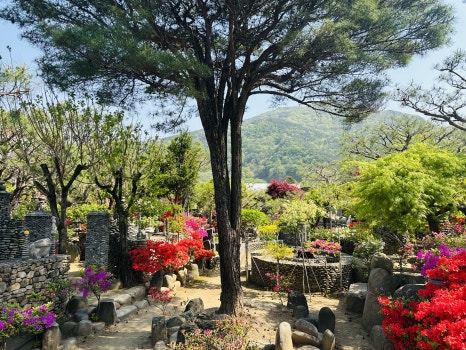 초원의집(Stone House in Goesan)
