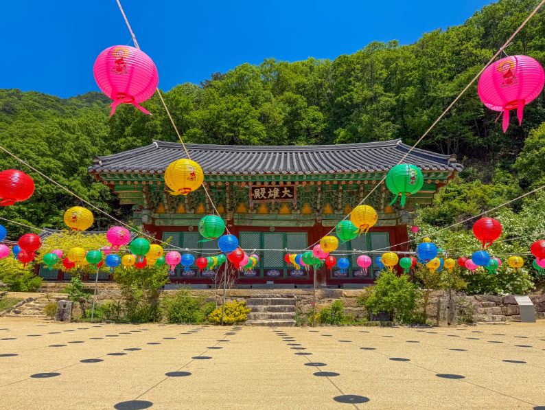 Goesan’s Day, Carrying Warm Memories