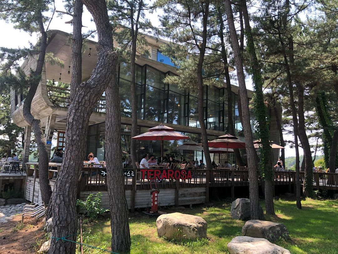 테라로사 사천점