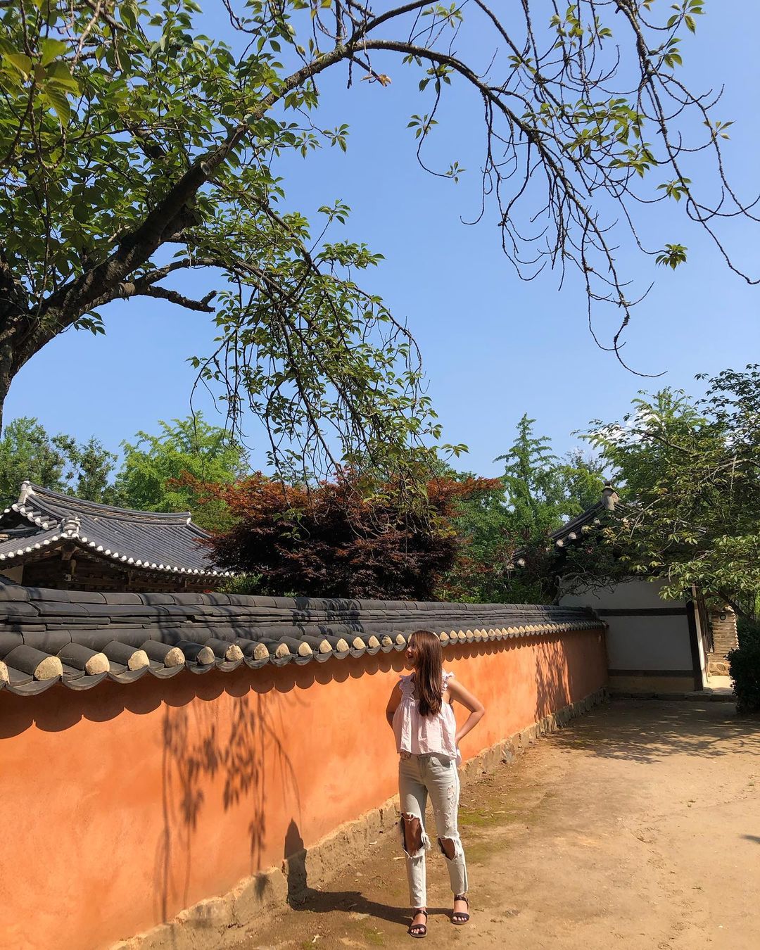 택시투어 상품 이미지