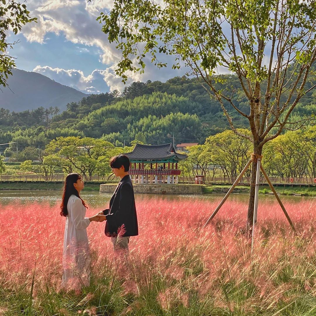 동정호(Dongjeong Lake)'s picture