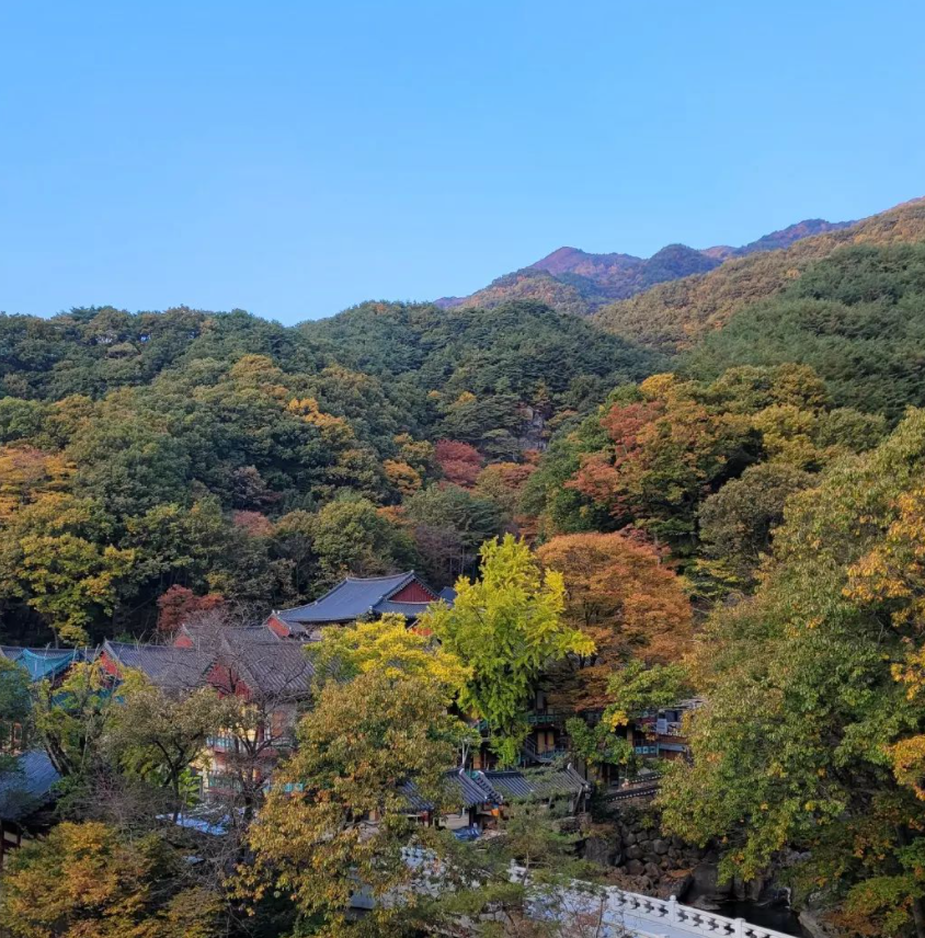 쌍계사(Ssanggyesa Temple)'s picture