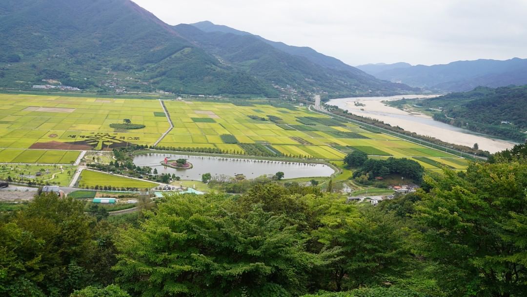 평사리들판(Pyeongsari Green Fields)'s picture