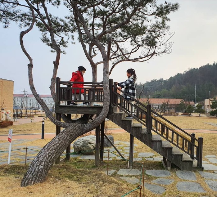 Course to Experience Nature with Kids