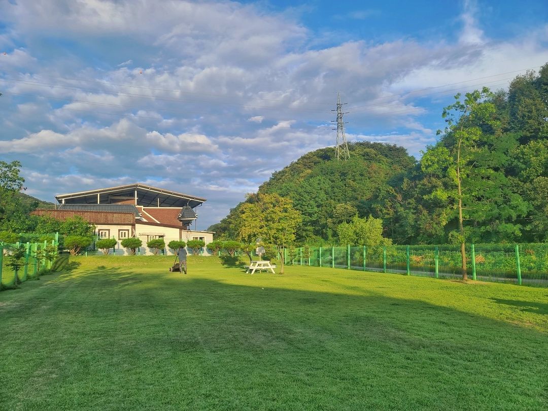 내가그린(imGreen)