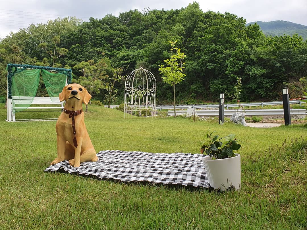 내가그린(imGreen)