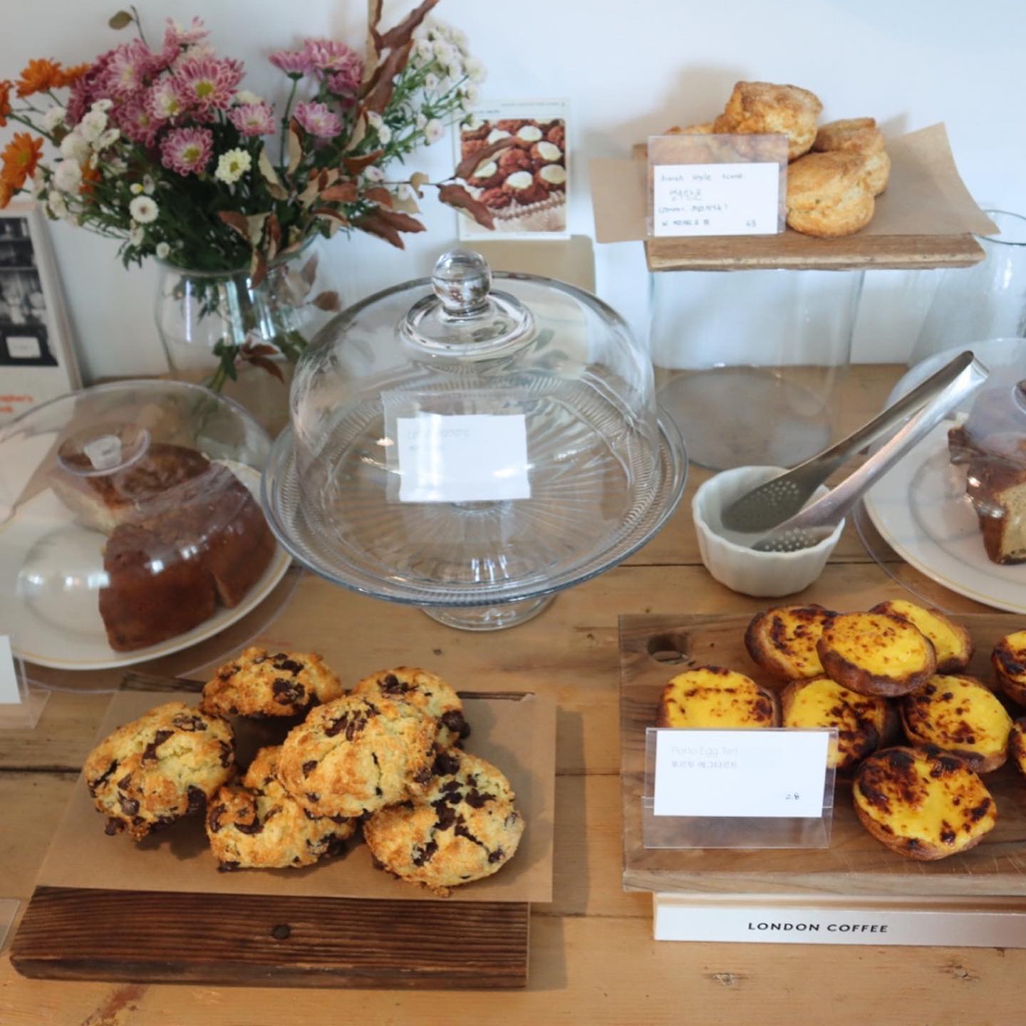 나잇나잇 (폐업)