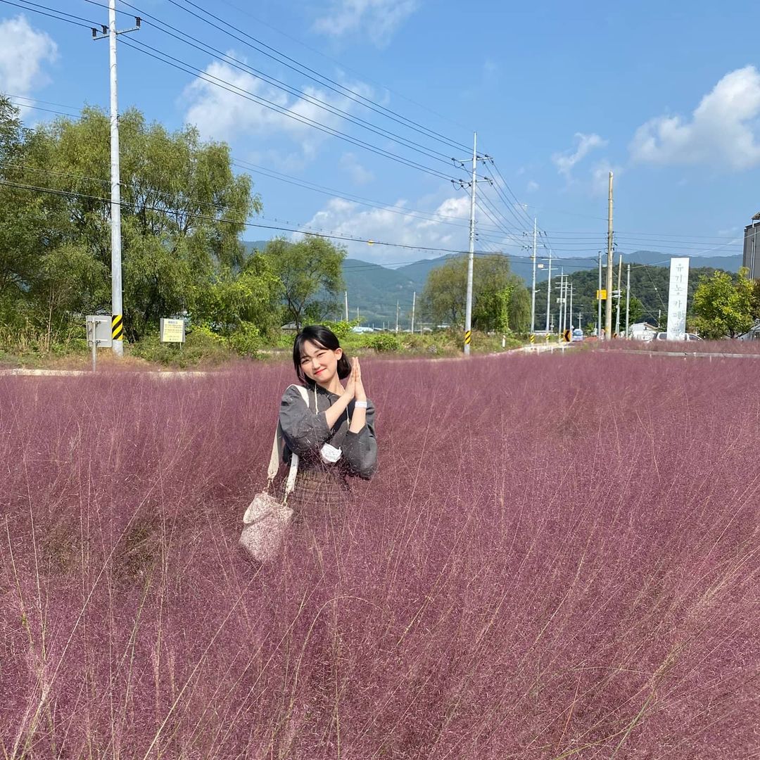 유기농카페(Organic Cafe)