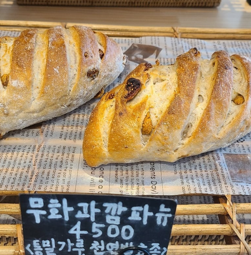 하이단양하이디