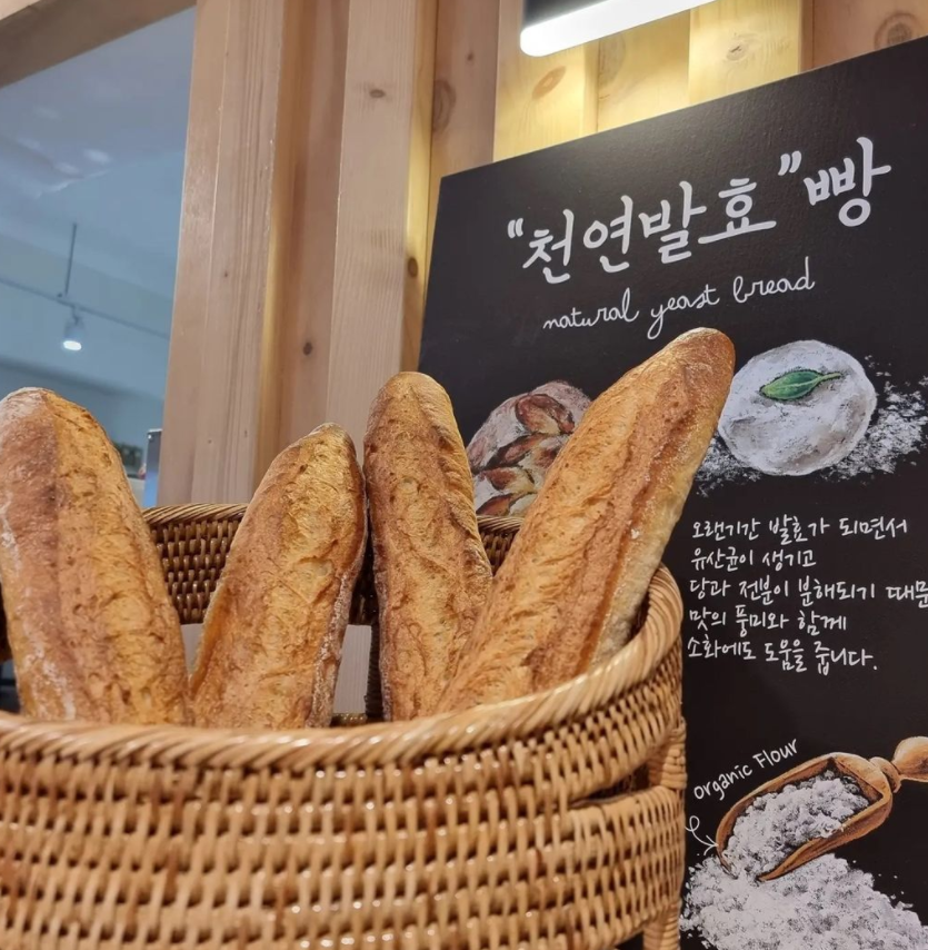 하이단양하이디