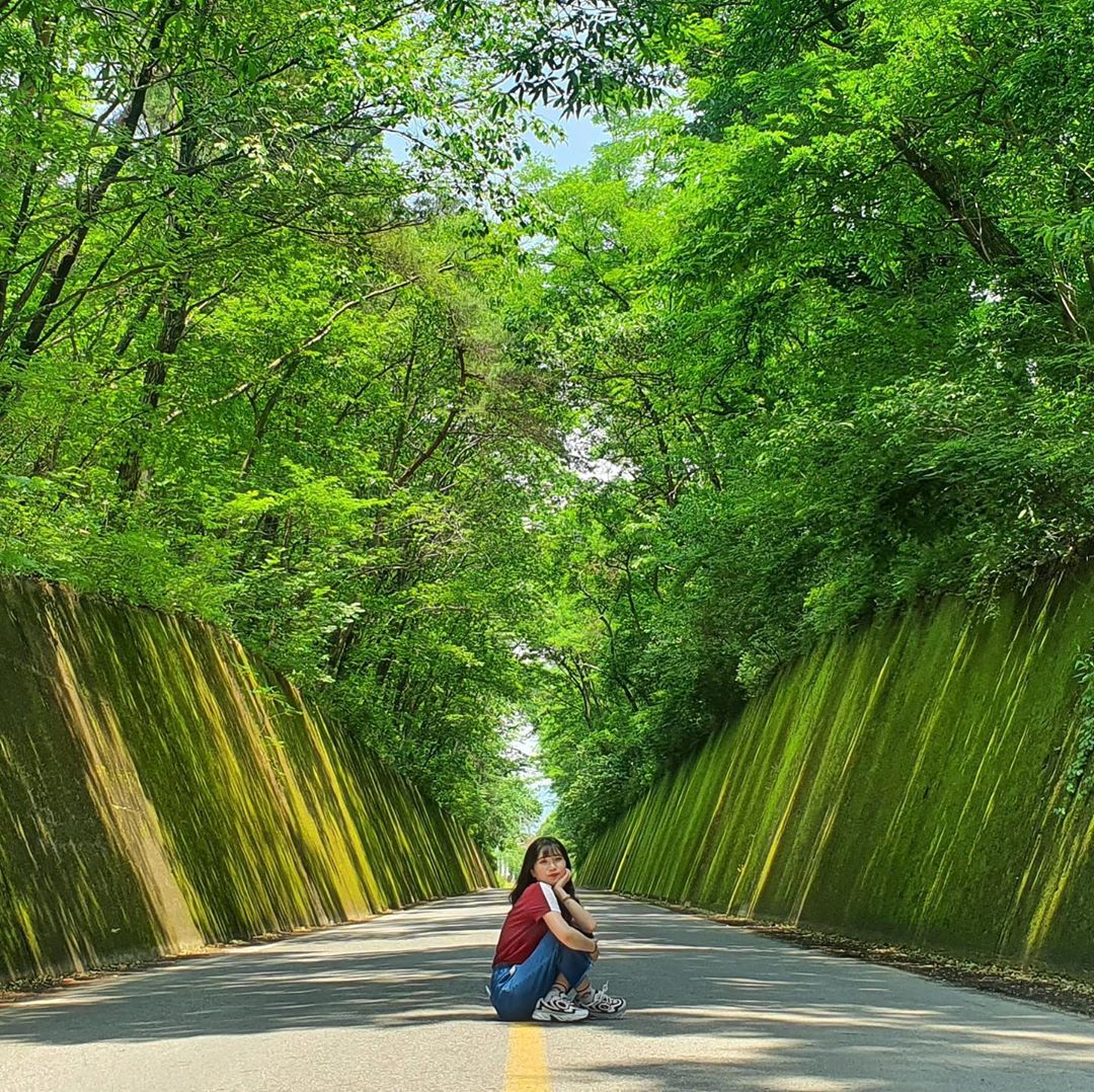 Danyang Instagrammable Tour