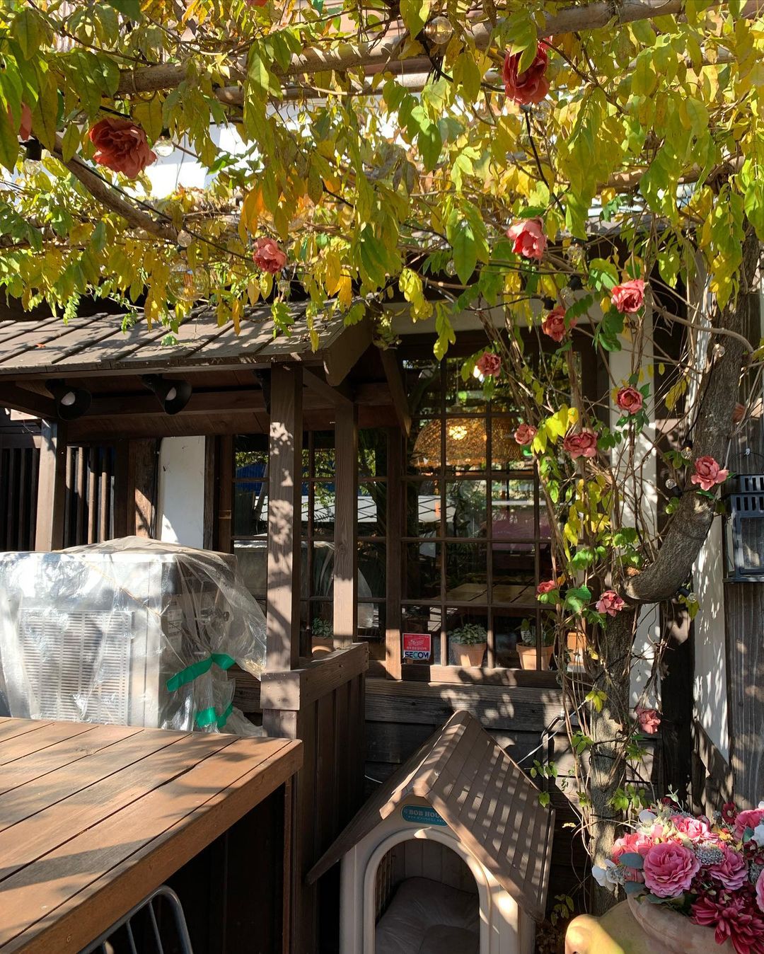 까멜리아 인 구룡포