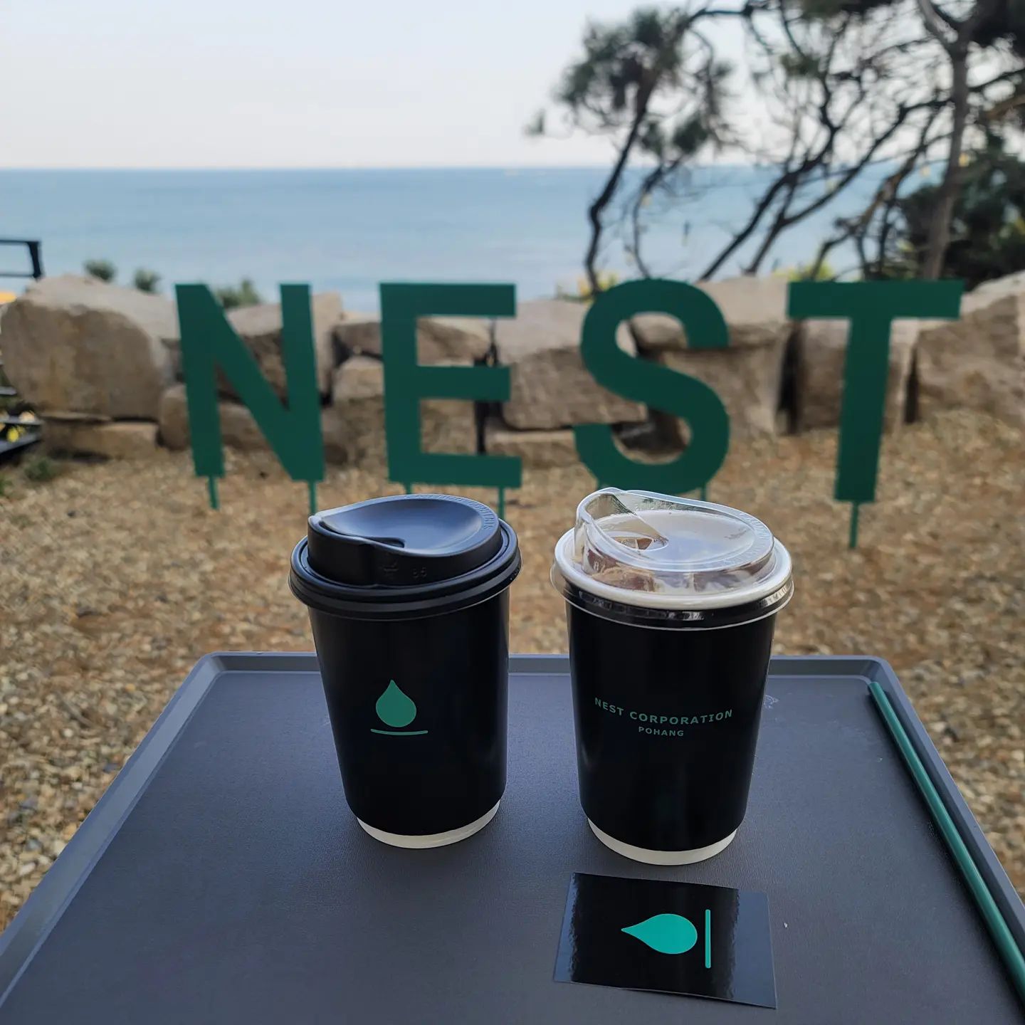 네스트 코퍼레이션(nest corporation)
