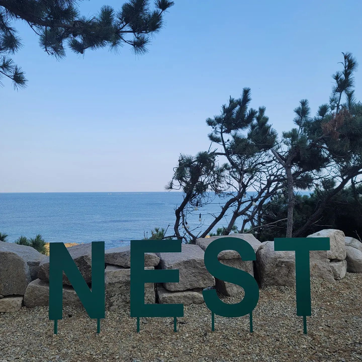 네스트 코퍼레이션(nest corporation)