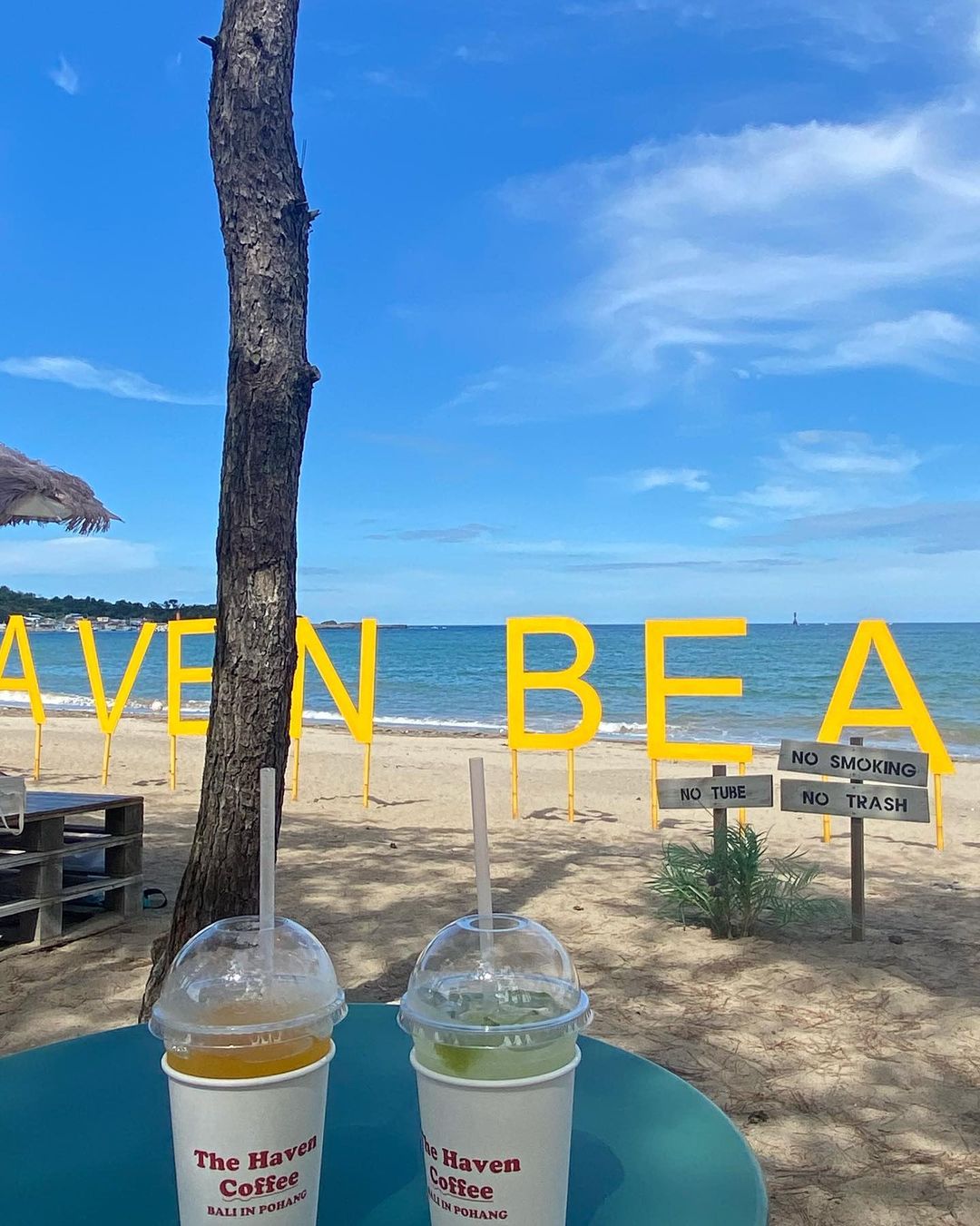 카페더헤이븐's picture