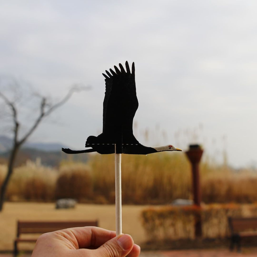 Suncheon Nature Healing Walking Course