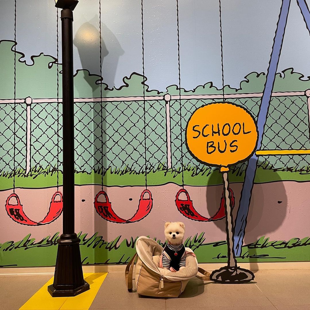 스누피가든(Snoopy Garden)