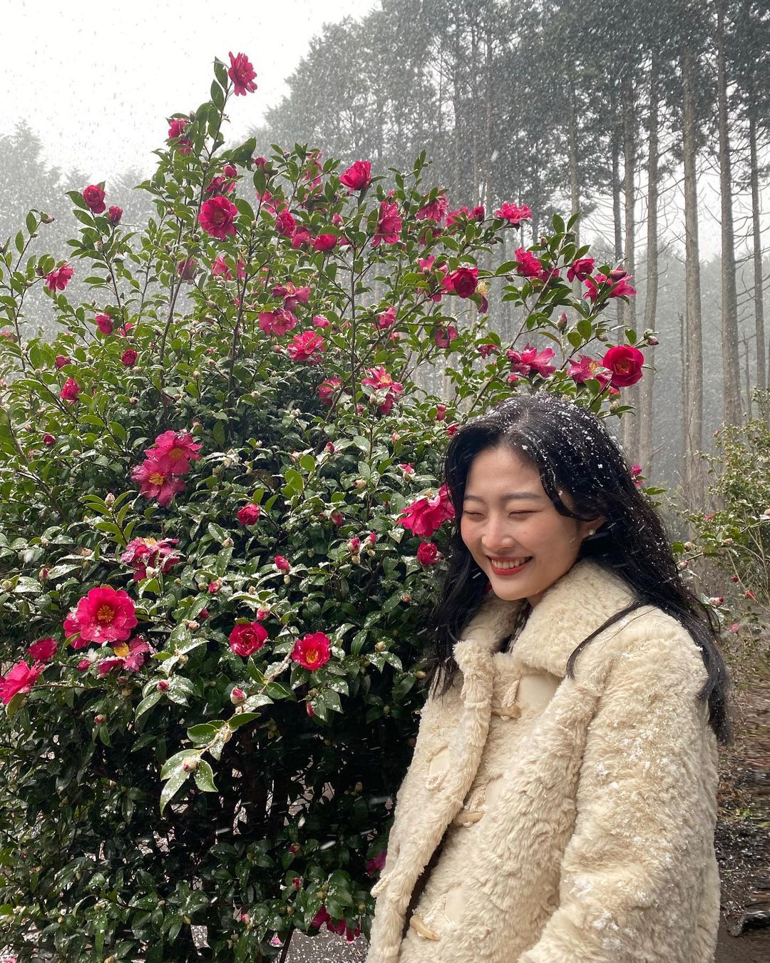 안돌오름 비밀의 숲(Andol Oreum)'s picture
