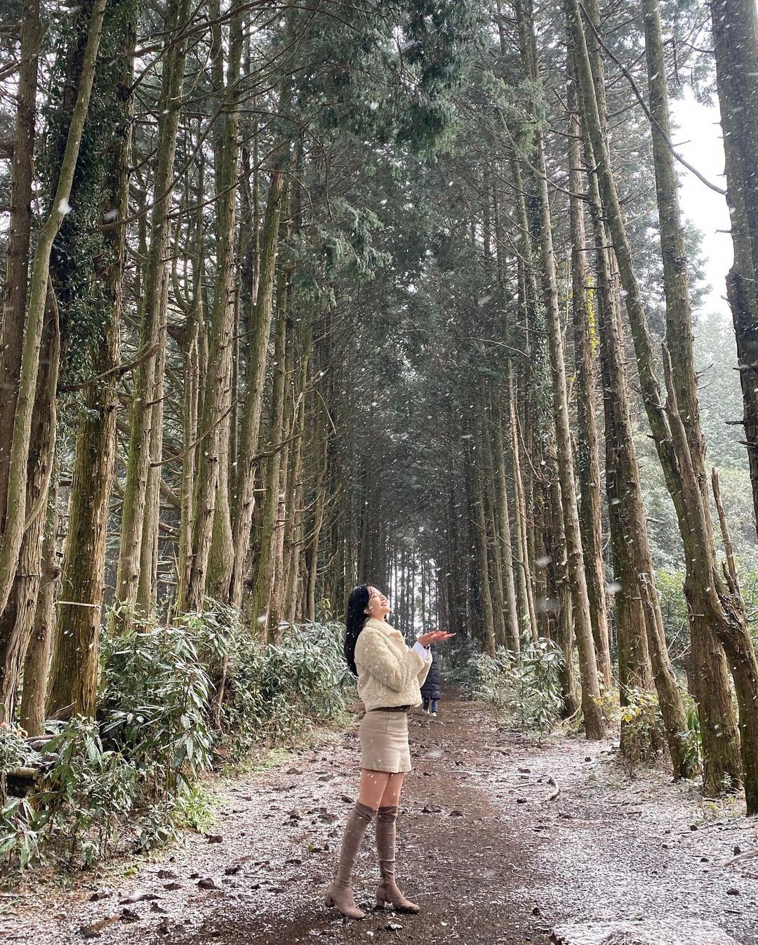 안돌오름 비밀의 숲(Andol Oreum)'s picture