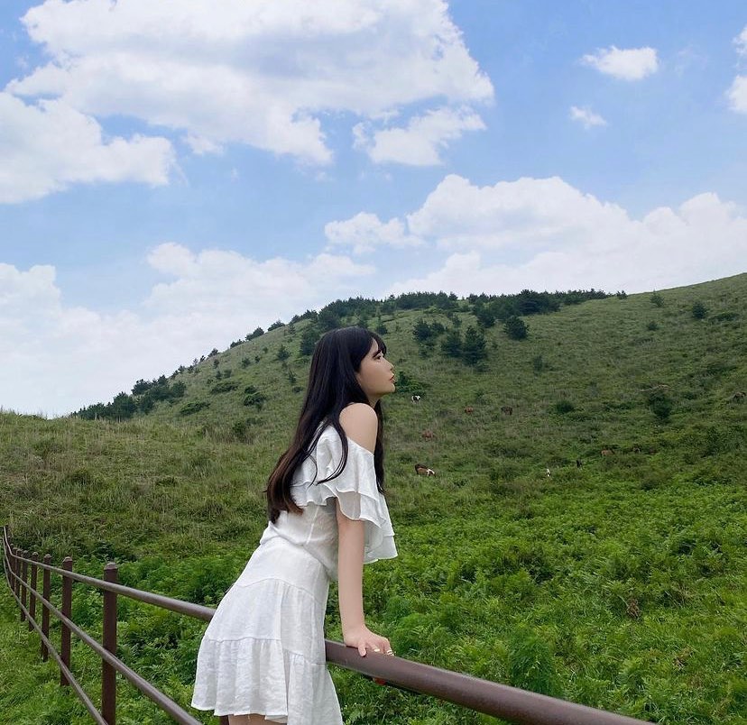 Jeju Mysterious Nature & Secret Forest Course