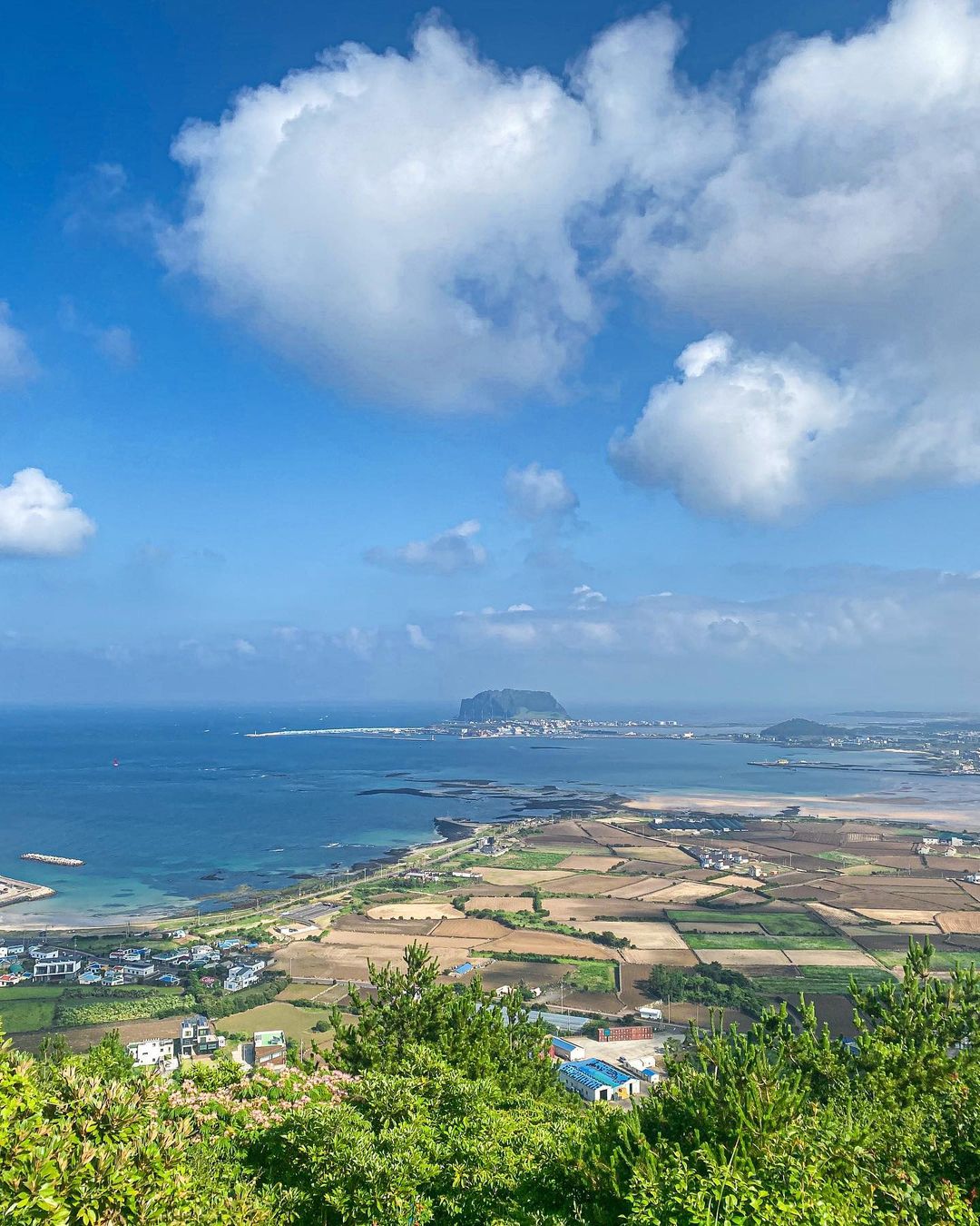 Lee Byeong-gwon's Recommended Jeju Drive: Original Coastal Charm