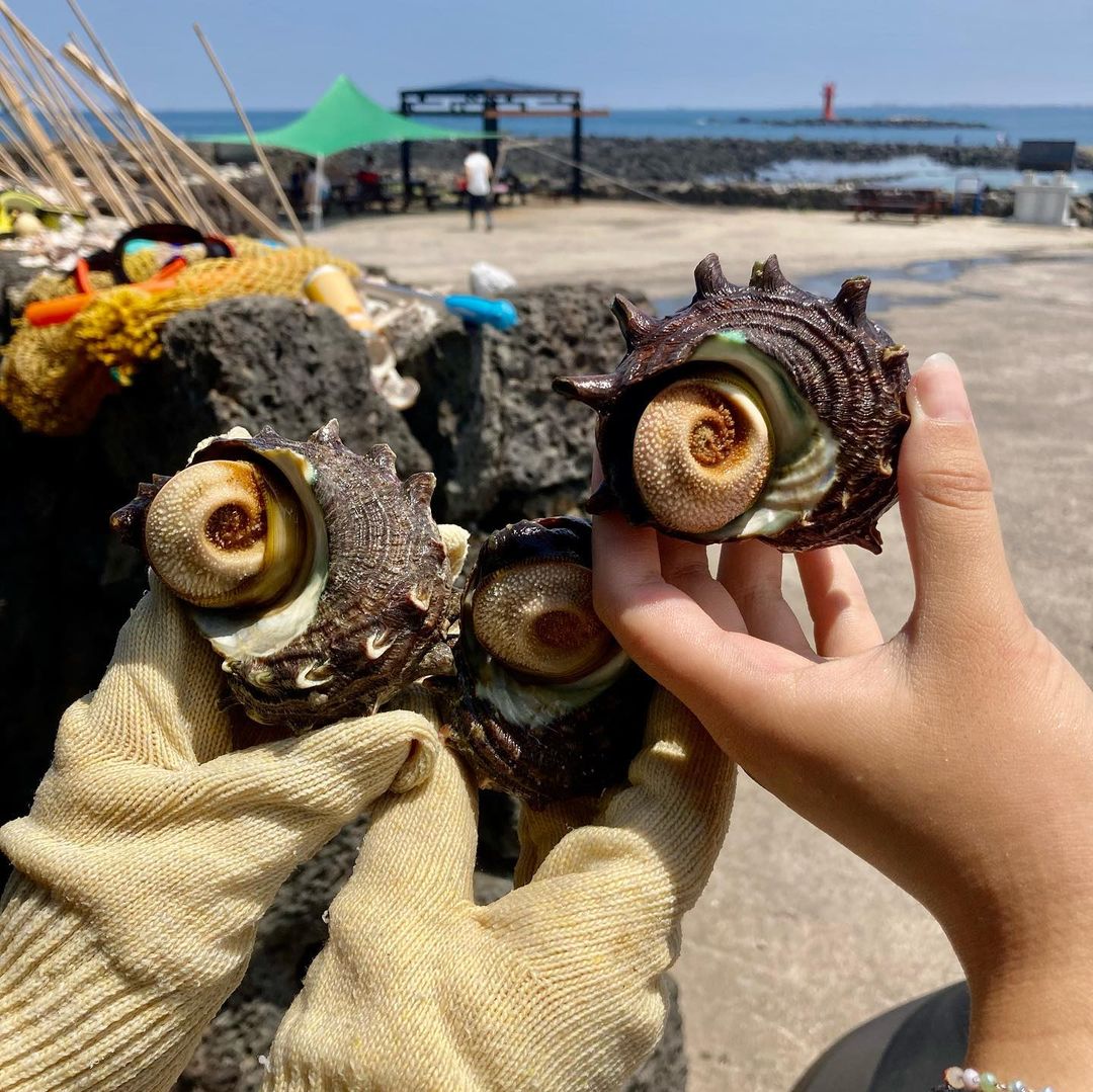 제주 해녀의 삶과 바다 체험 코스's picture