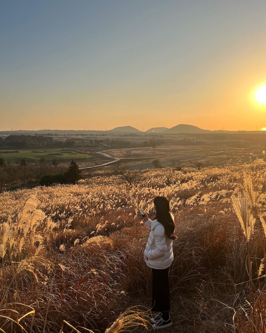 새별오름(Saebyeol Oreum)'s picture