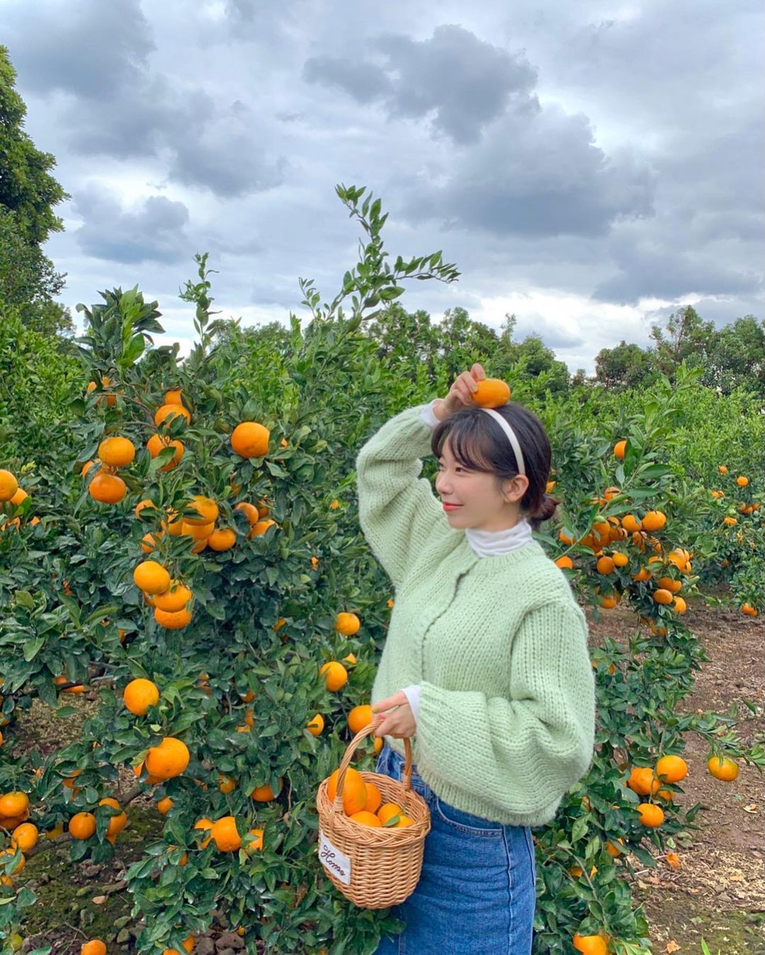귤빛 정원(Gyulbit garden)'s picture
