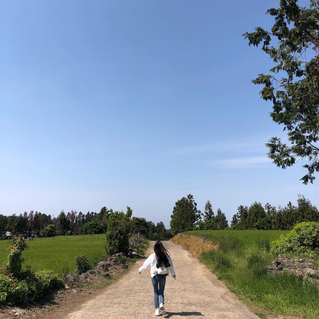 항파두리 항몽유적지(Hangpaduri Hangmong Historic Site)'s picture