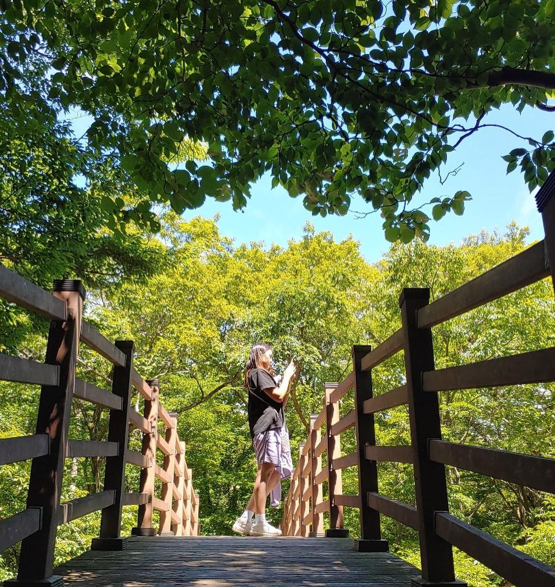 Immerse Yourself in Jeju's Tranquil Forests and Serene Nature.