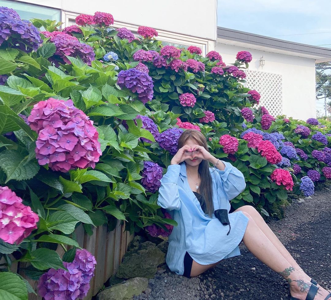 북촌에가면(bookchone gamyeon)