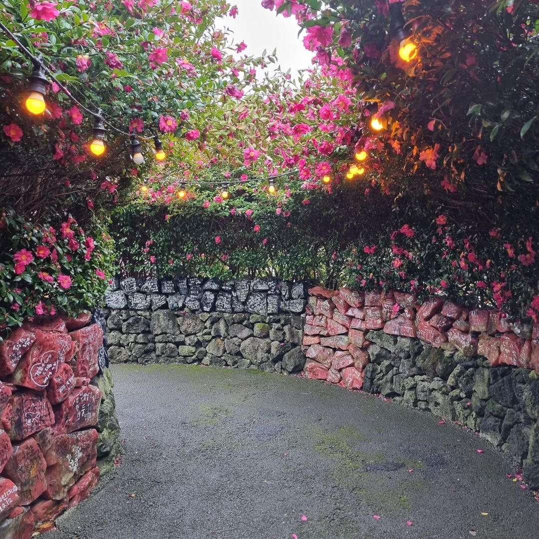 제주 유리의성(Jeju Glass Castle)'s picture