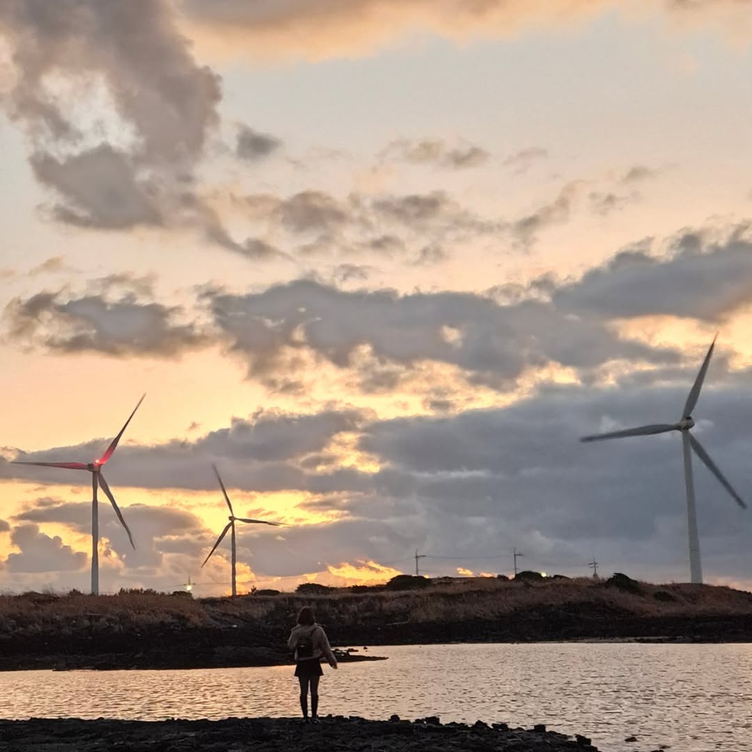 신창풍차해안 's picture