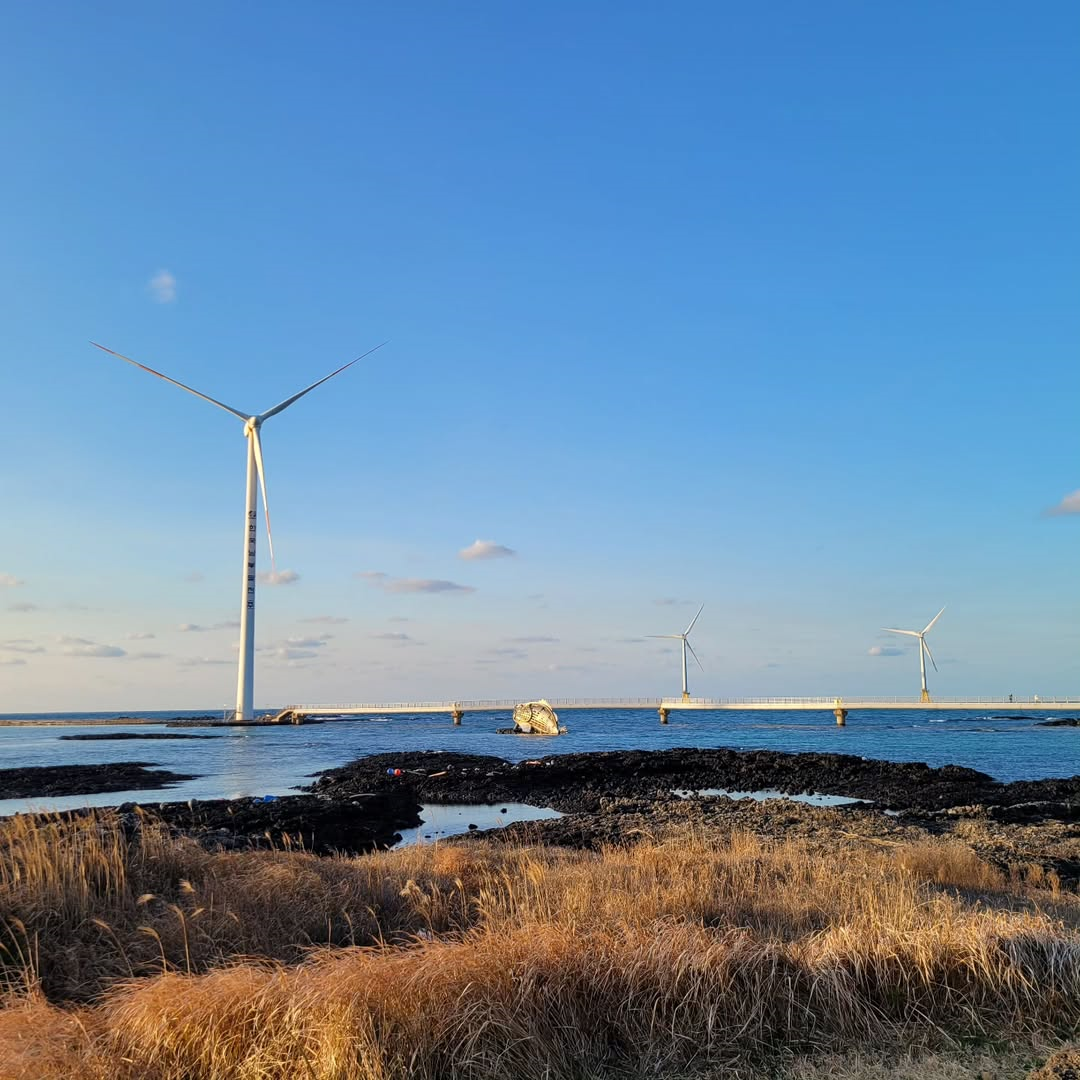 신창풍차해안 's picture