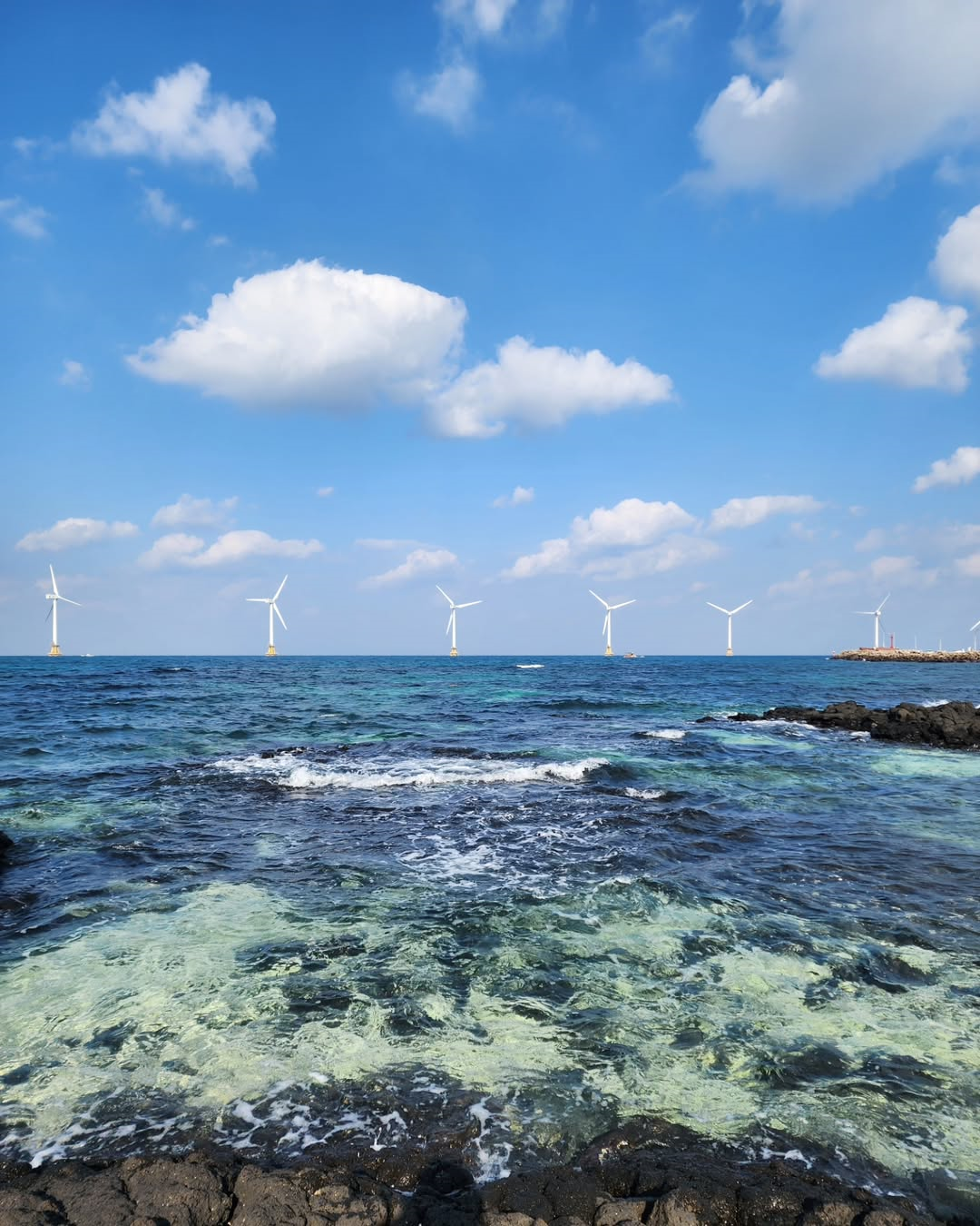 신창풍차해안 's picture