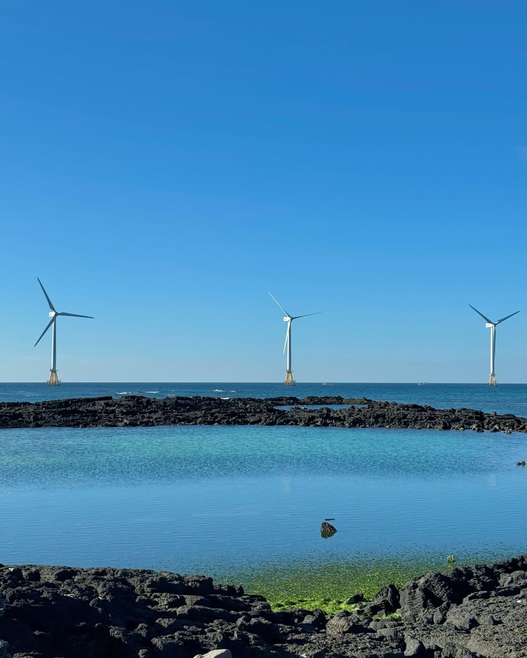 신창풍차해안 's picture