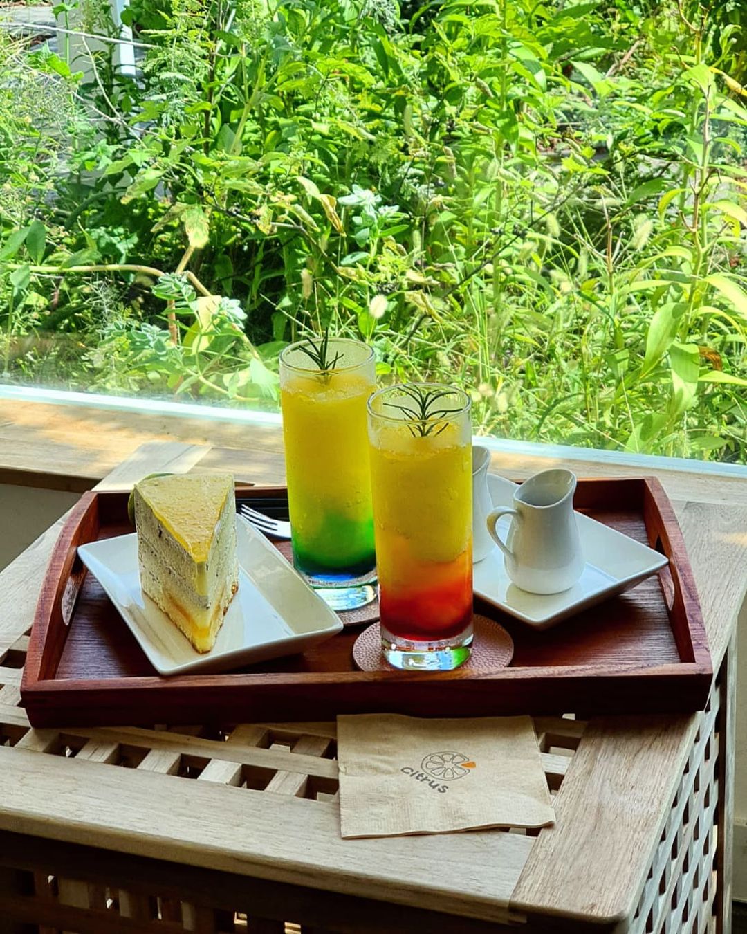 시트러스 가드닝카페(Citrus Gardening Cafe)