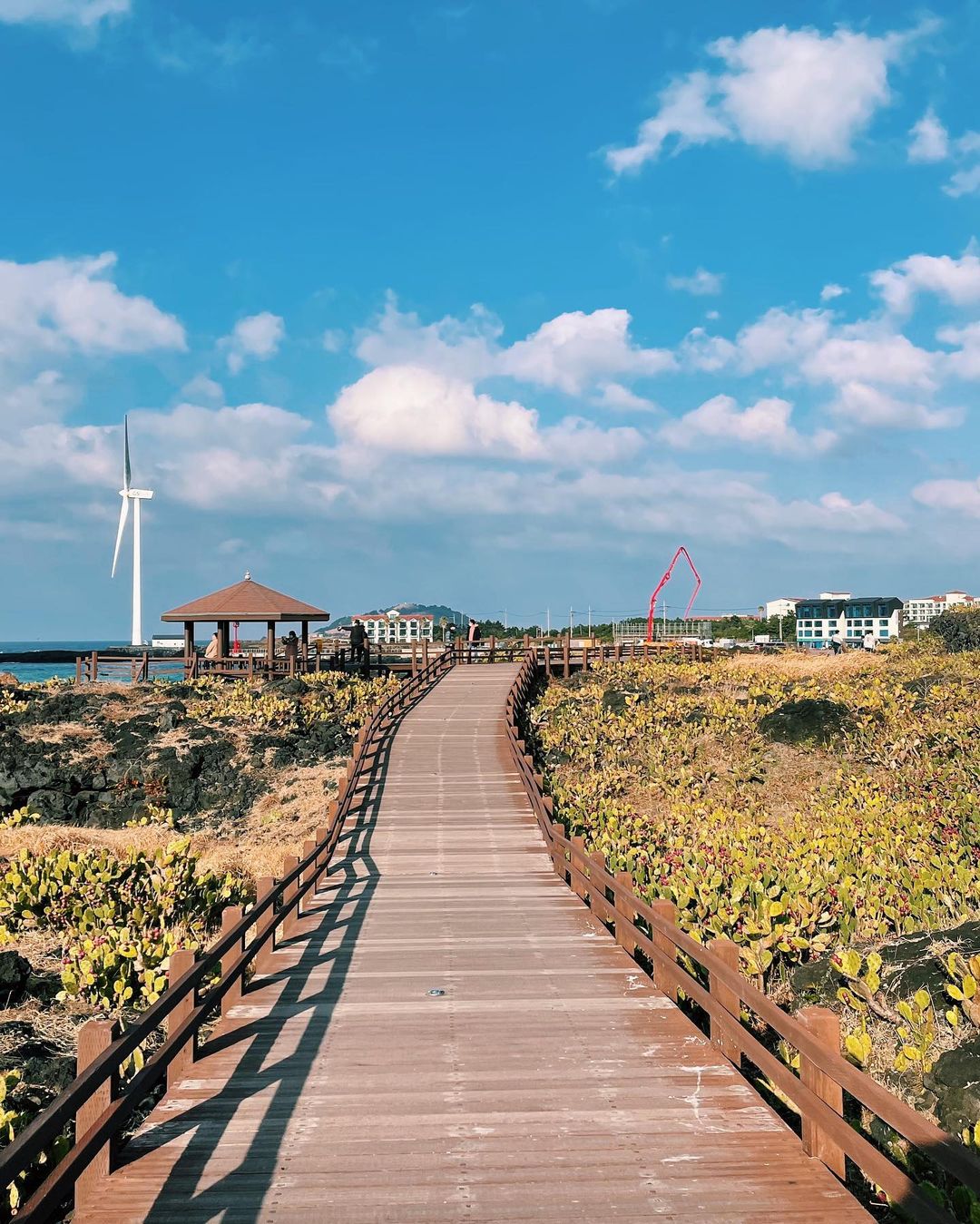 Jeju Relaxing Stroll Course